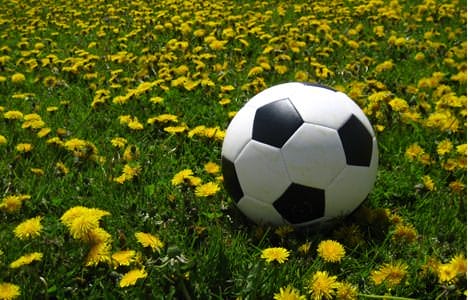 XIII plebiscyt na najpopularniejszych... w 2013 roku