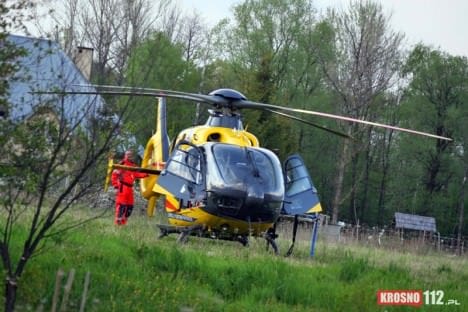 Dramat w Świerzowej Polskiej, pies pogryzł chłopca