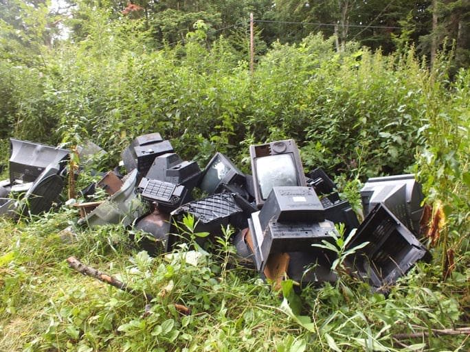 Las w Leśniówce pełen telewizorów