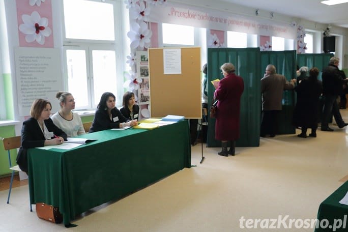 Frekwencja do godz. 17:30