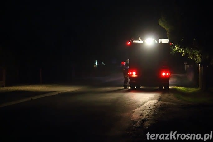 Świerzowa Polska: Pożar sadzy w kominie