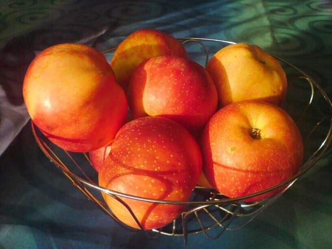 Jabłka będą rozdawać w lutym