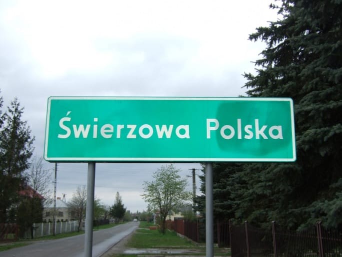 Gmina Chorkówka w statystykach, Świerzowa Polska najliczniejsza