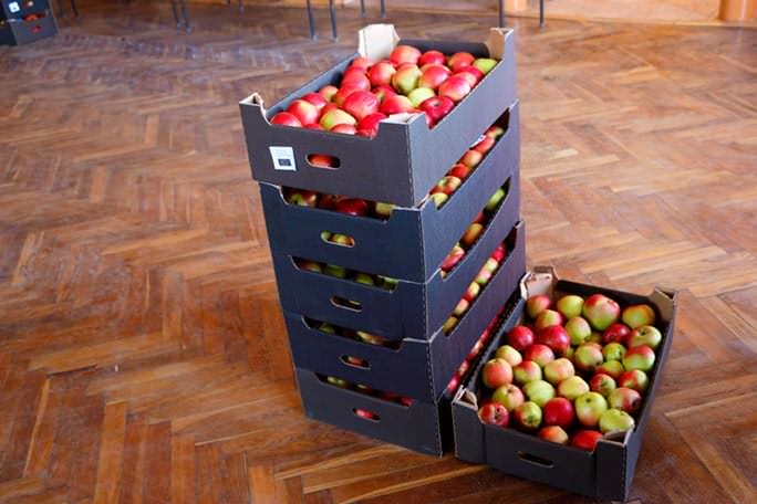 Darmowe jabłka rozchodzą się jak ciepłe bułeczki