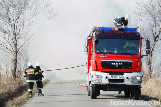 Chorkówka: Plaga wypalania traw