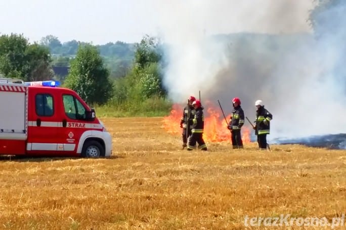 Pożar ścierniska w Świerzowej Polskiej