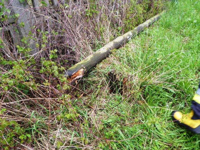 Słup telekomunikacyjny spadł na samochód w Świerzowej Polskiej