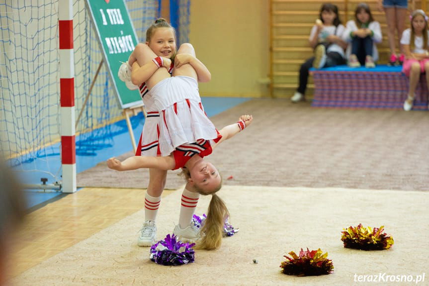 Piknik Rodzinny w Świerzowej Polskiej