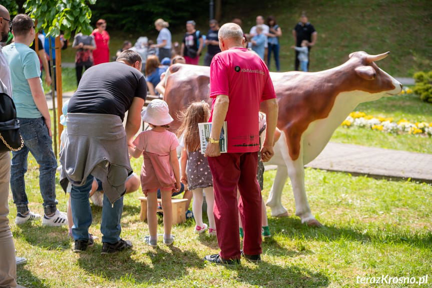Dzień Dziecka w Rymanowie-Zdroju
