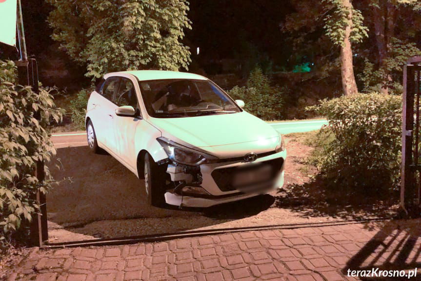 Potrącenie rysia w Rymanowie-Zdroju