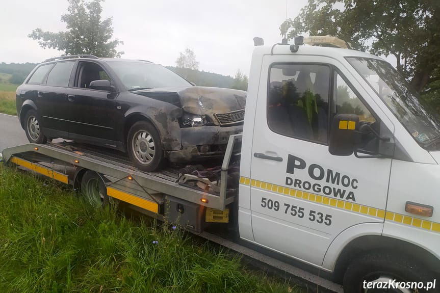 Potrącenie dzika w Bóbrce