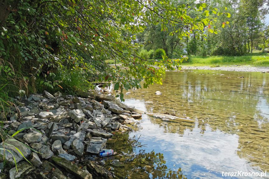rzeka Jasiołka