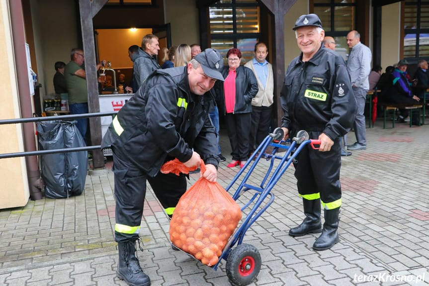 Kartoflisko w Widaczu