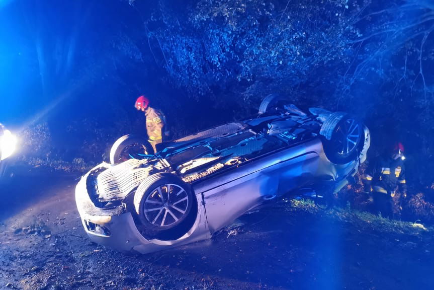 dachowanie w Bóbrce