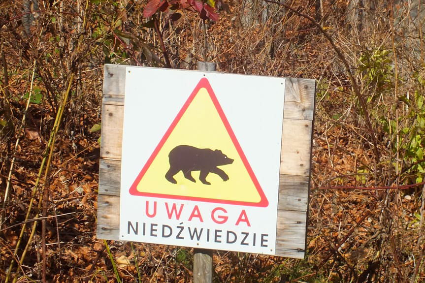 Tablica otrzegająca przed niedźwiedziami