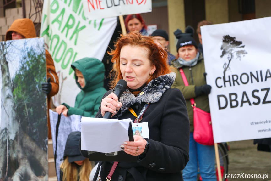 Marsz żałobny dla drzew w Krośnie