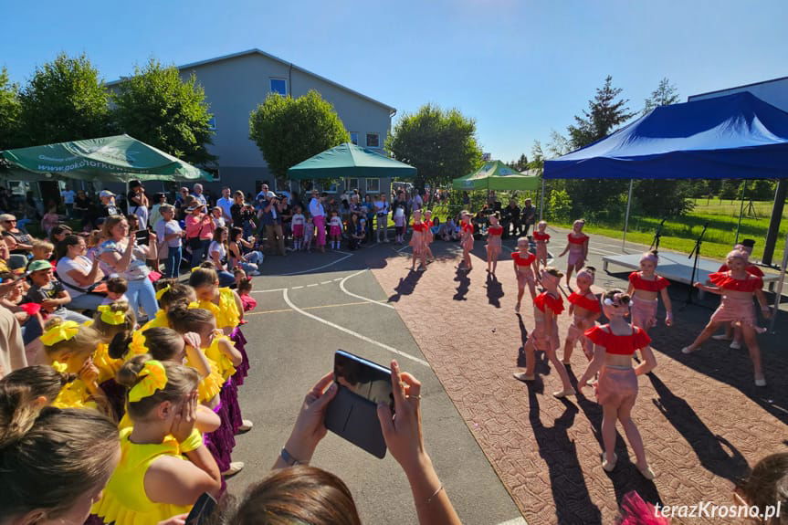 Piknik Rodzinny w Świerzowej Polskiej