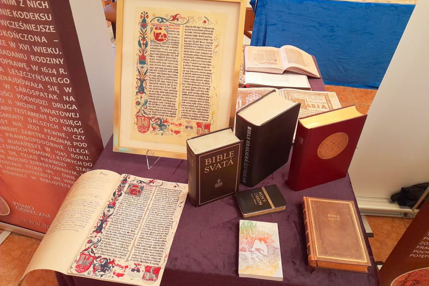 Zabytkowe eksponaty w Parku Załuskich w Iwoniczu