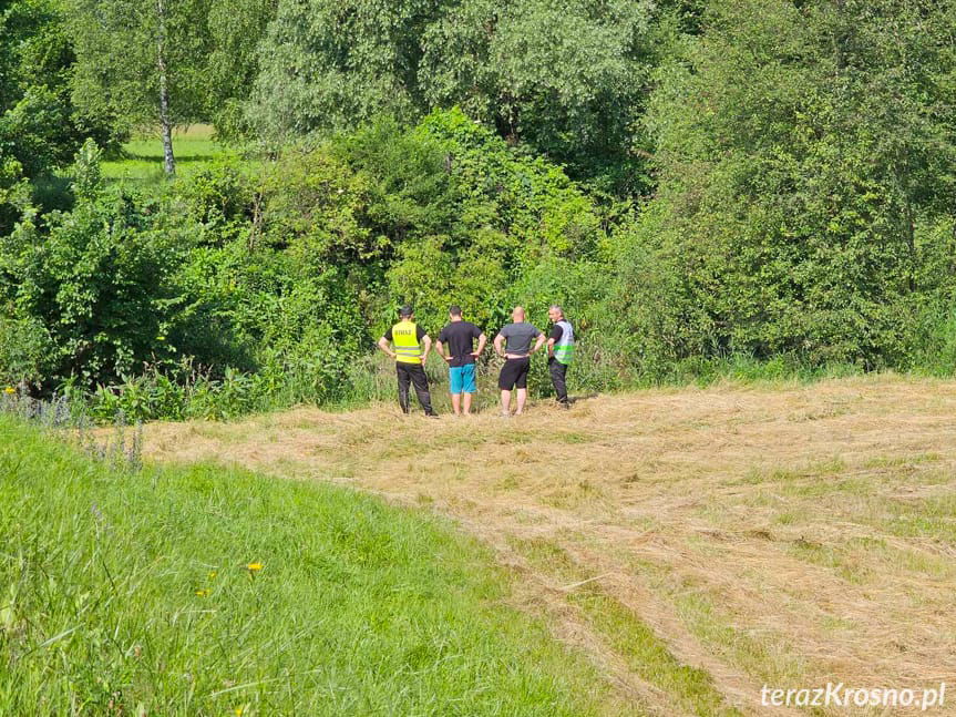W Wisłoku znaleziono zwłoki mężczyzny