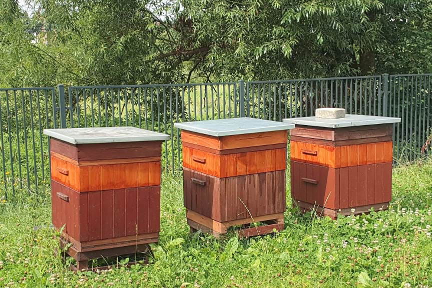 ule na terenie oczyszczalni ścieków