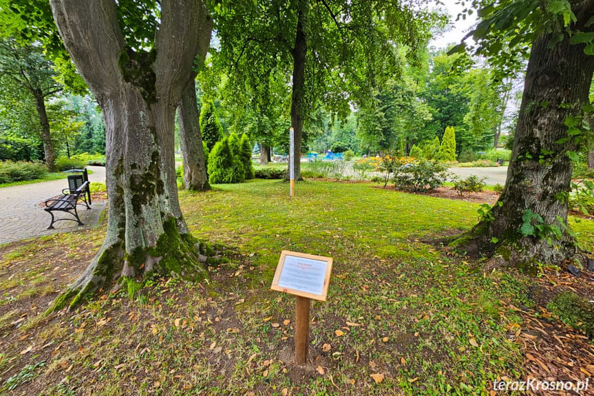 Słup Pokoju w Krośnie