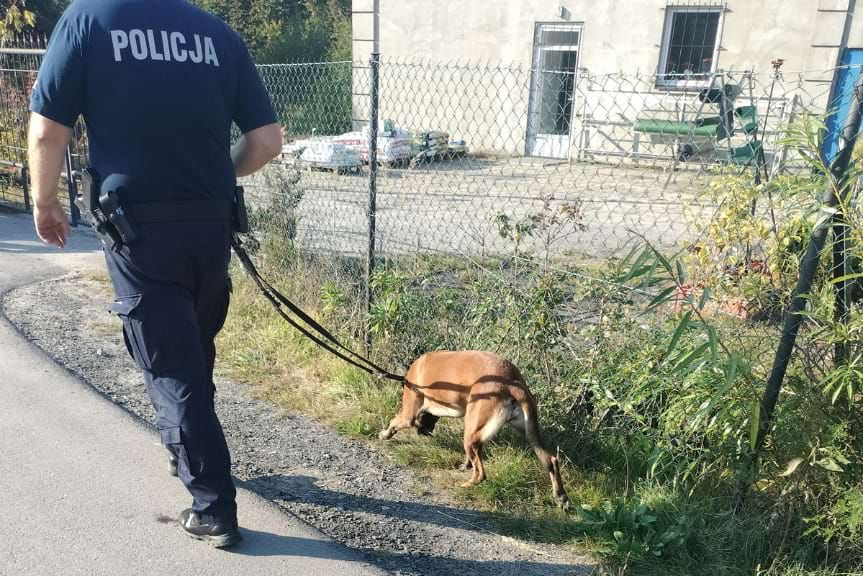 poszukiwania mężczyzny