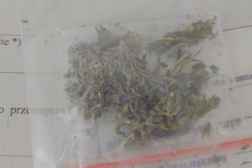 16-latki w tarapatach: marihuana i brak prawa jazdy