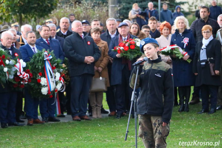 obchody 11 listopada w Rymanowie