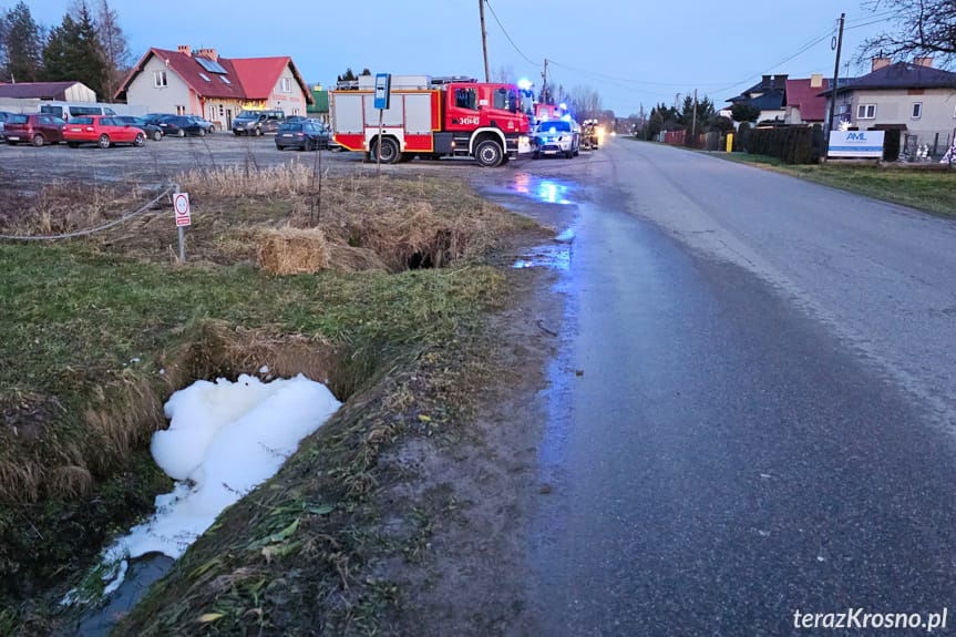 Piana w rowie w Sulistrowej