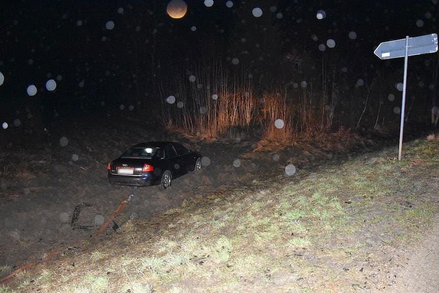 Audi zaparkowane w polu