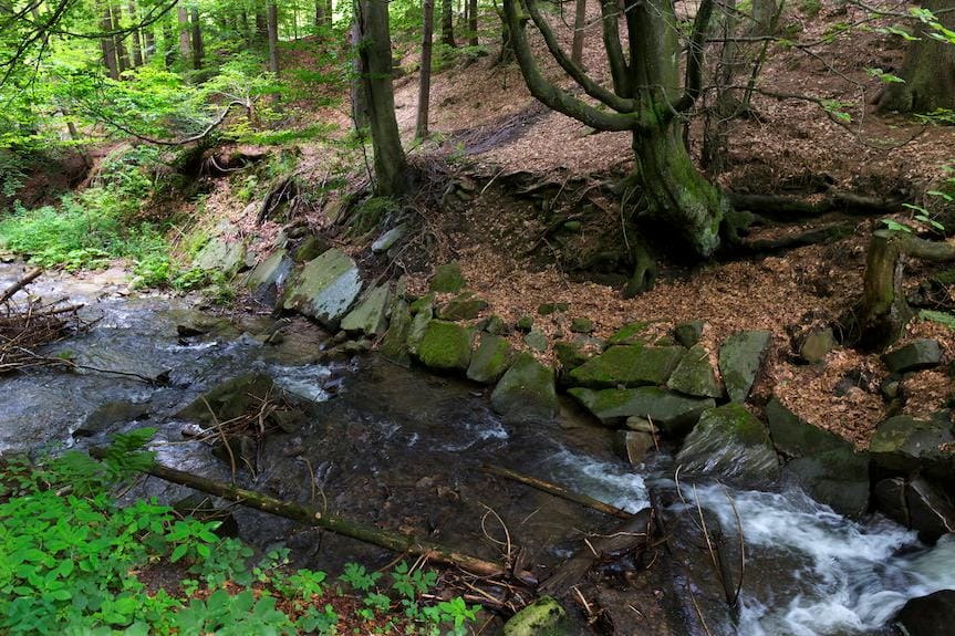 Ciało kobiety w potoku