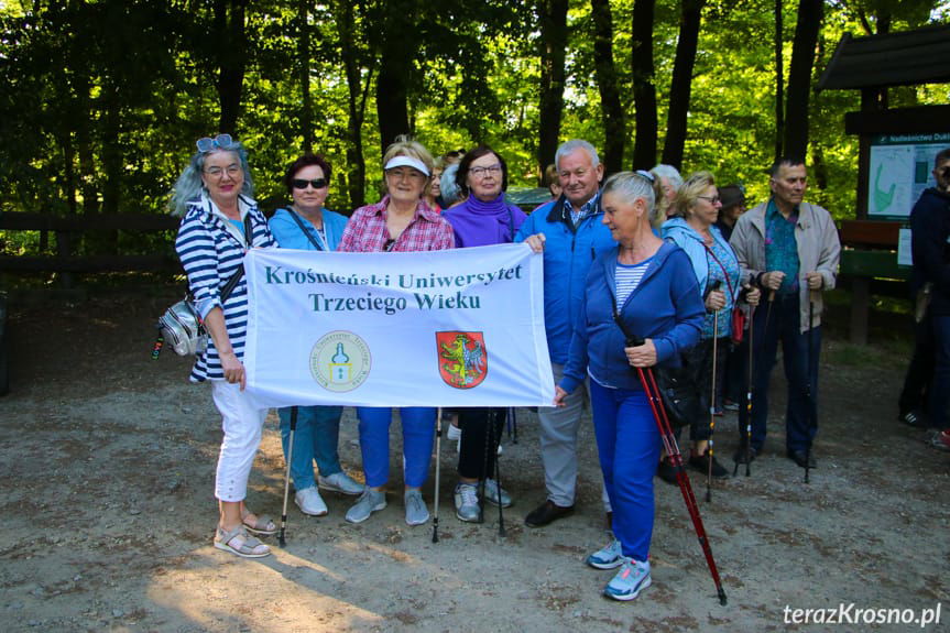 Święto Polskiej Niezapominajki w Dębinie