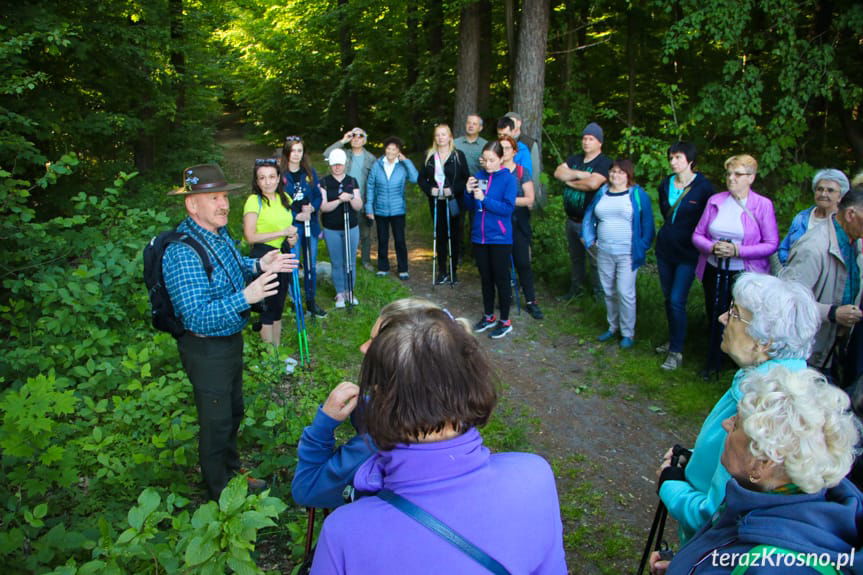 Święto Polskiej Niezapominajki w Dębinie