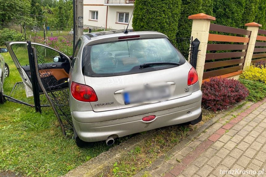 Łężany. Uderzył w ogrodzenie i słup