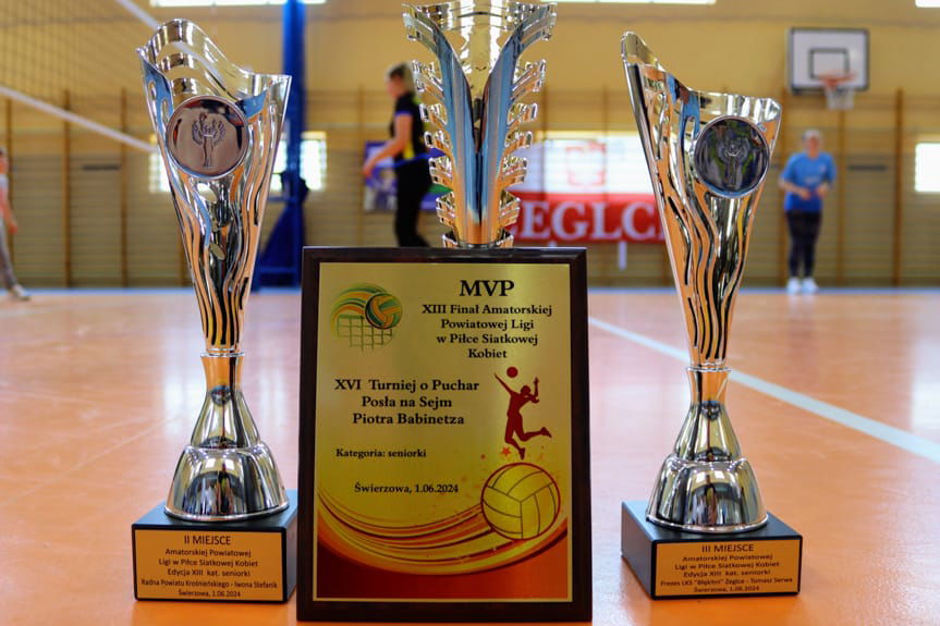 Finał Amatorskiej Powiatowej Ligi w piłce siatkowej kobiet