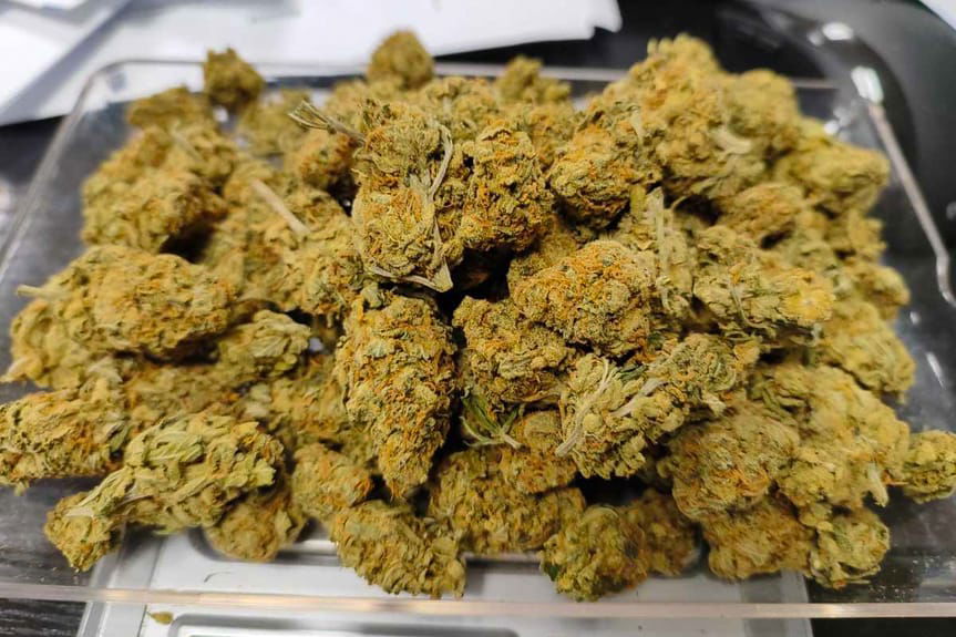 narkotyki u zatrzymanego