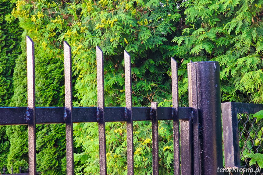 Krosno nabił się na ogoradzenie cmentarza