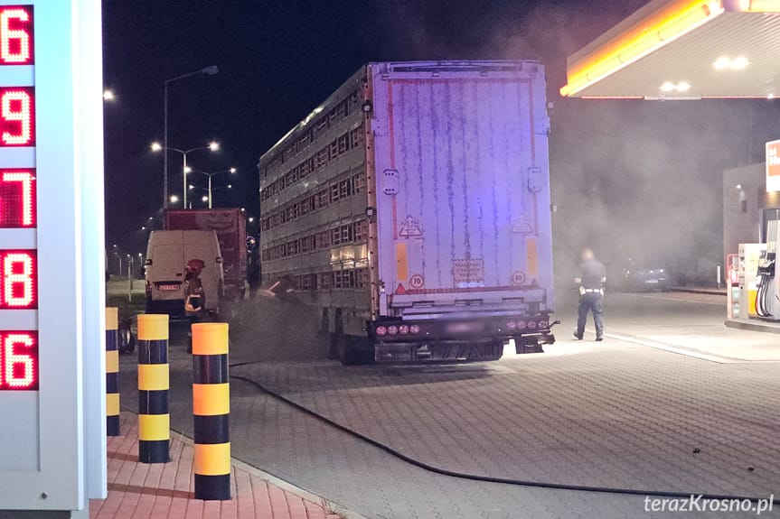 Prosiaki w oparach dymu. Awaryjny postój ciężarówki w Krośnie