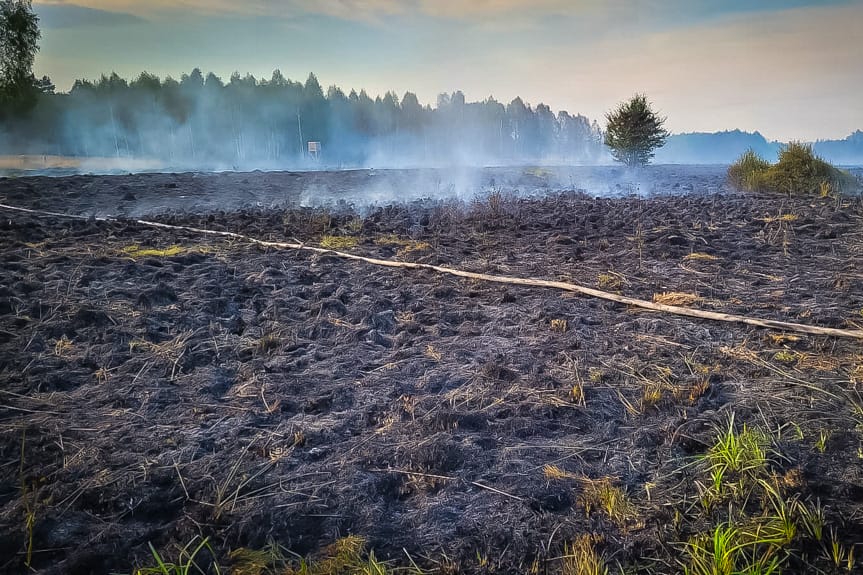 Ogromny pożar lasu i nieużytków