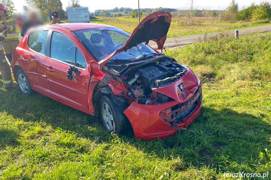 Drzewo runęło na samochód