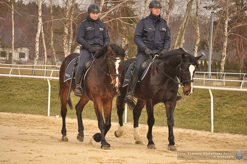 Wag i Bary dołączają do patroli konnych na Podkarpaciu