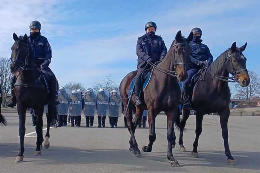 Choć bez mundurów – konie policyjne są niezastąpione