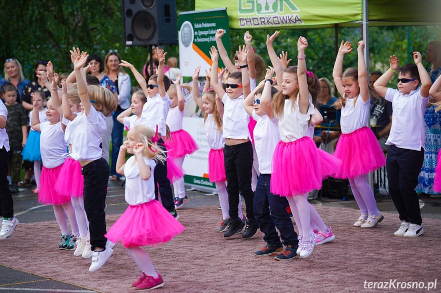 Piknik Rodzinny w Świerzowej Polskiej [ZDJĘCIA]