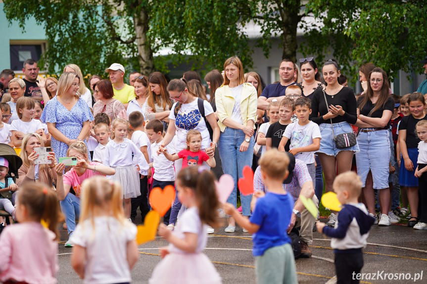 Piknik Rodzinny w Świerzowej Polskiej