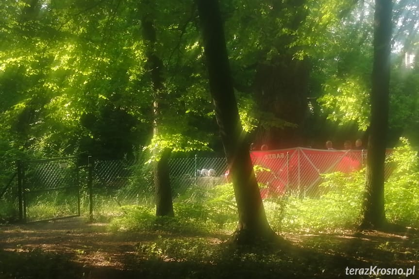 Wstrząsające odkrycie. Ciało 61-latka w stawie