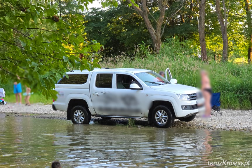 Walka z Barszczem Sosnowskiego trwa. Każde zgłoszenie ma znaczenie