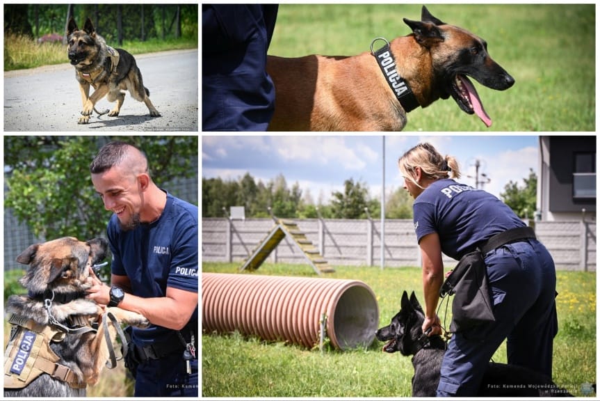 Sadiko, Lingwa i Olimpia. Poznaj bohaterów policyjnych eliminacji