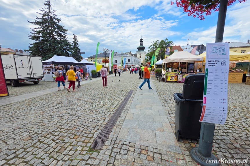 Rozpoczęły się Karpackie Klimaty w Krośnie. Potrwają do niedzieli [ZDJĘCIA]