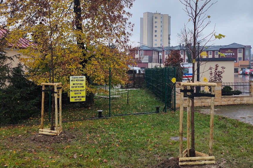 Jesienne nasadzenia drzew w Rzeszowie