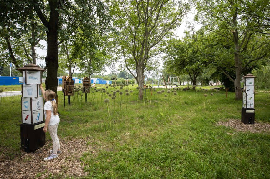 Duże inwestycje w rzeszowską zieleń w 2024 roku